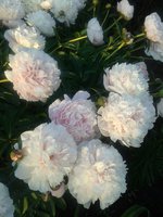 20130626_210838 2.jpg