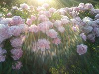 20130626_211149 2.jpg
