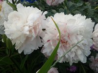 20140627_212909 2.jpg