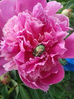 20150612_145205 2.jpg