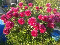 20150620_194743 2.jpg