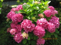 IMG_8961.JPG