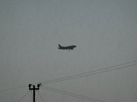 copDSC01585.jpg