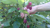 20150806_124241.jpg