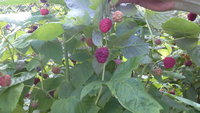 20150806_124340.jpg