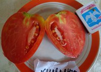 Киевлянка