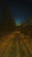 2012-11-29-240.jpg
