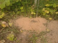 2015-08-11 15.08.55.jpg