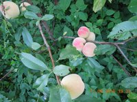 DSCN3733.JPG
