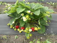 2012-08-01-2025.jpg