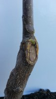 20150816_165815.jpg