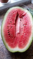 20150816_160354.jpg