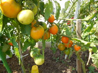 DSCN0228.JPG