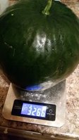 20150817_220552.jpg