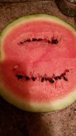 20150817_220652.jpg