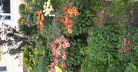 WP_20150818_14_49_55_Pro.jpg