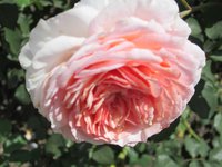 IMG_1969.JPG