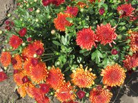 IMG_1977.JPG