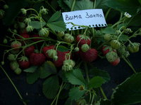 DSCN4409.JPG