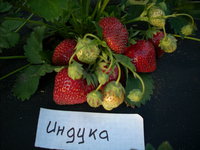 DSCN4430.JPG