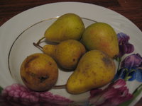 IMG_2677.JPG
