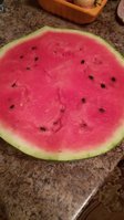 20150824_222231.jpg