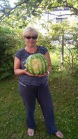 20150823_180914.jpg