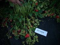 DSCN4449.JPG