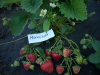 DSCN4443.JPG