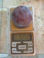 DSCN3146.jpg