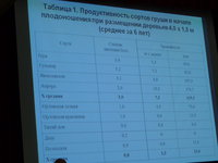 P1100043.JPG