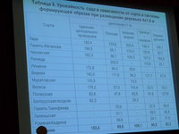 P1100057.JPG
