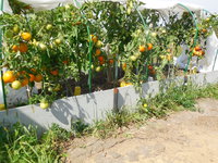 DSCN0226.JPG
