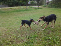 20150831_110006.jpg