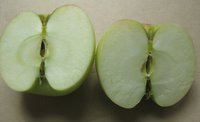 IMG_3925.JPG