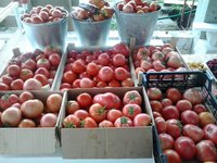 2015-09-05 12.04.52.jpg