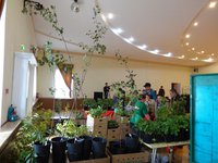 DSC01255.jpg