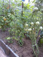 2015-07-31 19-47-57.JPG
