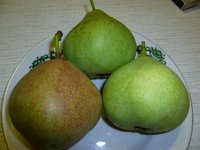 бере зимняя мичурина.jpg