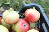 IMG_1732.jpg