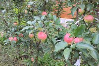 IMG_1611.jpg