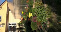 WP_20150914_15_31_34_Pro.jpg