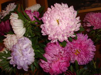 DSC09666.JPG