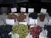 P1010023.JPG