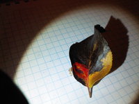 2015-09-17 17-01-56.JPG