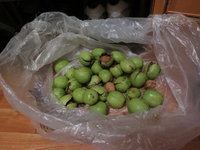 IMG_3590.JPG