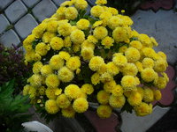 DSCN9611.JPG