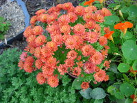 DSCN9636.JPG