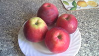 20150923_093559.jpg