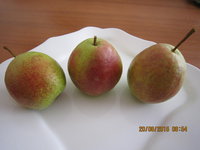 IMG_9005.JPG